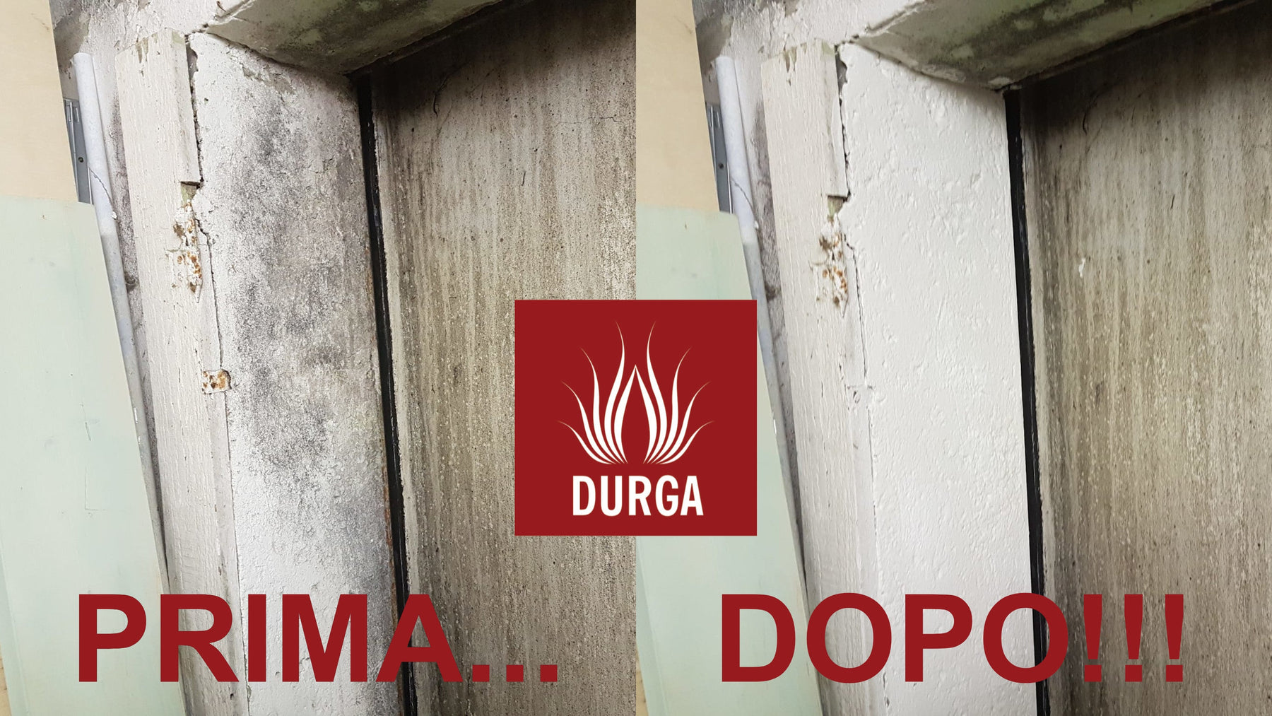 Come trattare la muffa sui muri? La guida definitiva di Durgastore! Durga